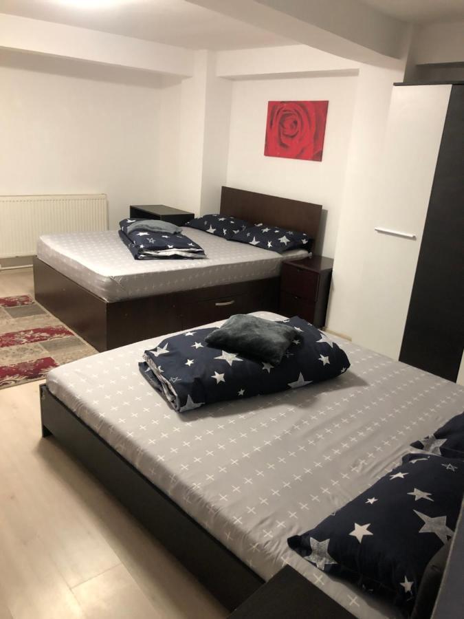 Hostel Mialma Onesti Exteriér fotografie
